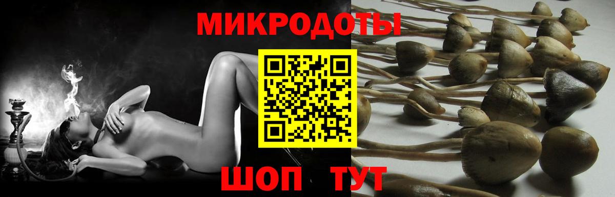 Галлюциногенные грибы мицелий Избербаш